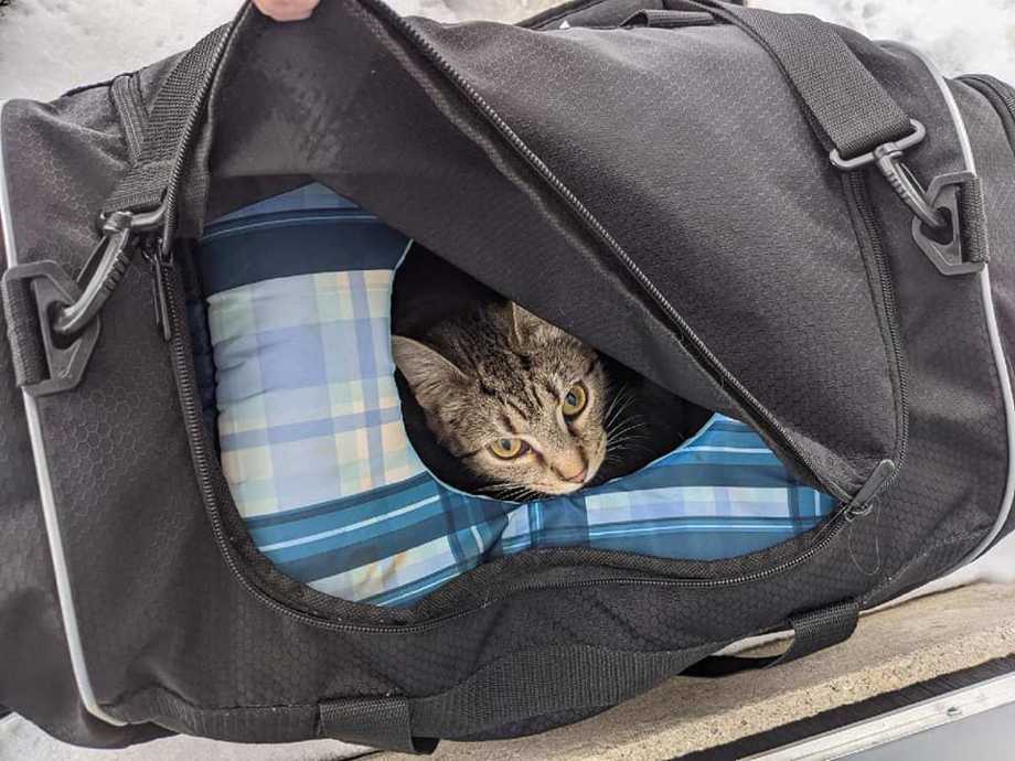 suspicious bag